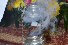 Ola-95