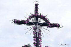 DSC_9685