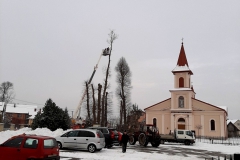 drzewa_sól_luty-15