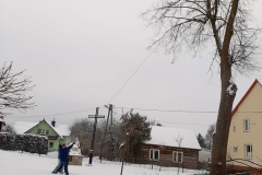 drzewa_sól_luty-3