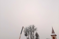 drzewa_sól_luty-4