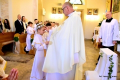 DSC_6872