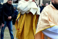 DSC_8534