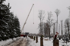 wycinka_sól-16