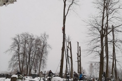 wycinka_sól-18