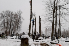 wycinka_sól-20