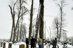 wycinka_sól-4